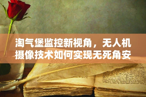 淘气堡监控新视角，无人机摄像技术如何实现无死角安全监控？