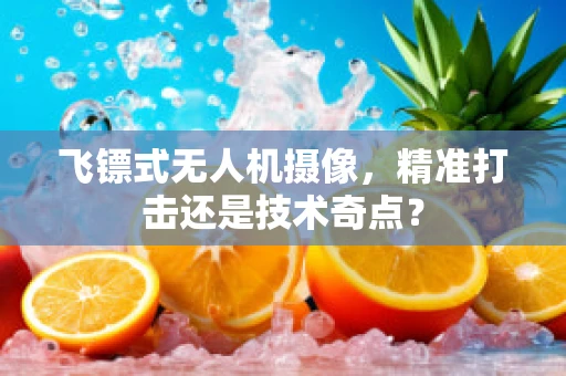 飞镖式无人机摄像，精准打击还是技术奇点？