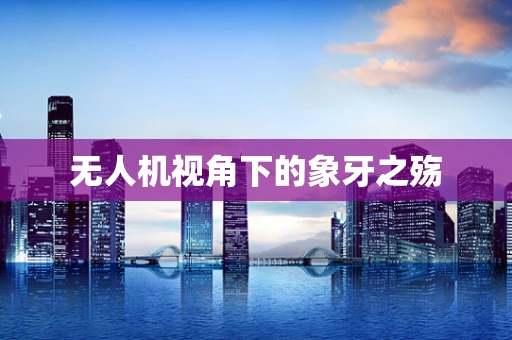 无人机视角下的象牙之殇 无人机视角下的象牙之殇