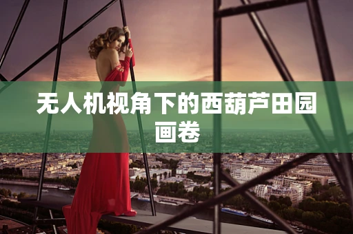 无人机视角下的西葫芦田园画卷