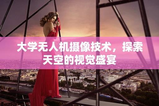 大学无人机摄像技术,探索天空的视觉盛宴